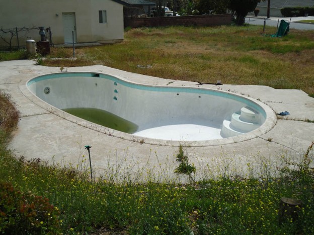 kidney inground pool
